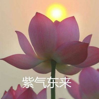 eve星战前夜无烬星河全球服官方版下载